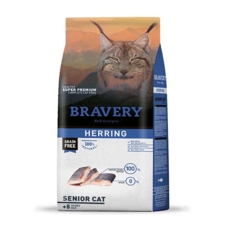 Bravery herring senior cat