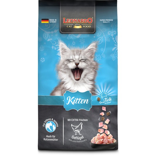 Leonardo Kitten alimento para gato