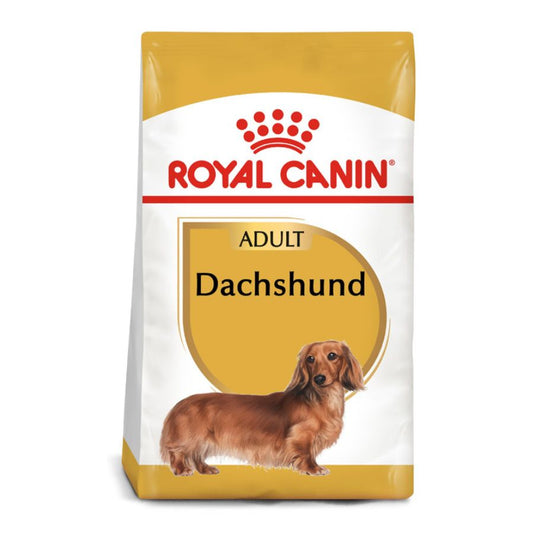 Royal Canin adulto Dachshund alimento para perro