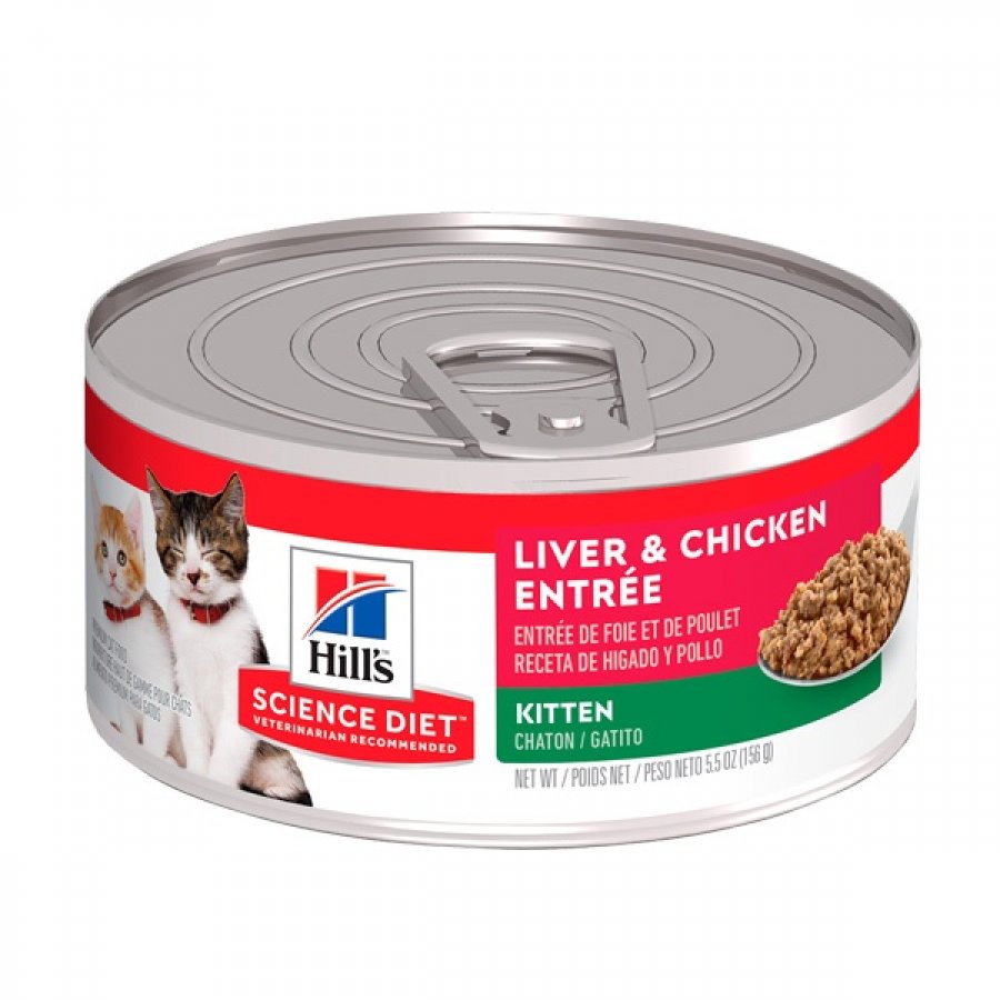 Hills lata kitten liver & pollo alimento húmedo para gatos 156 GR