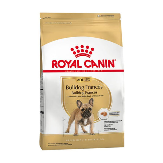 Royal Canin adulto Bulldog Frances alimento para perro