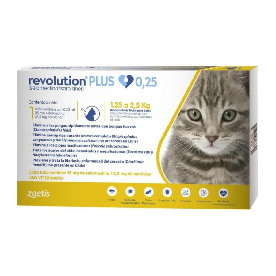 Revolution Plus Gato
