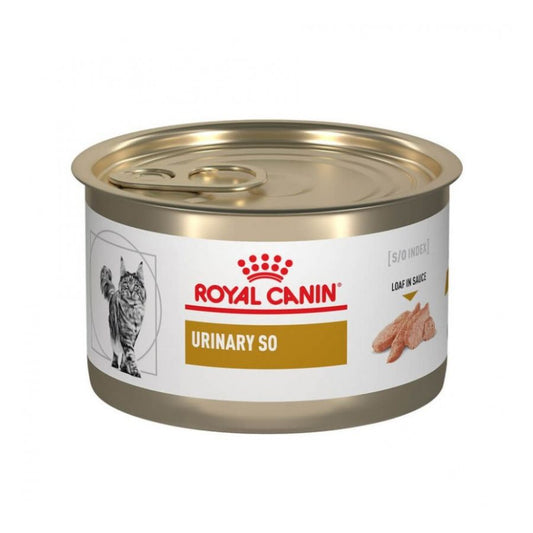 Royal Canin adulto urinary s/o alimento húmedo para gatos 145 GR