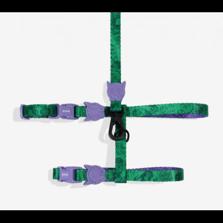 Set Arnes y Correa ZeeCat Hulk Felino