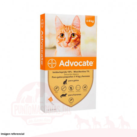 Advocate Gato y Huron Menor de 4kg