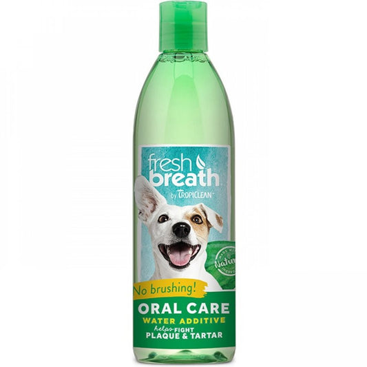 Oral care water additive