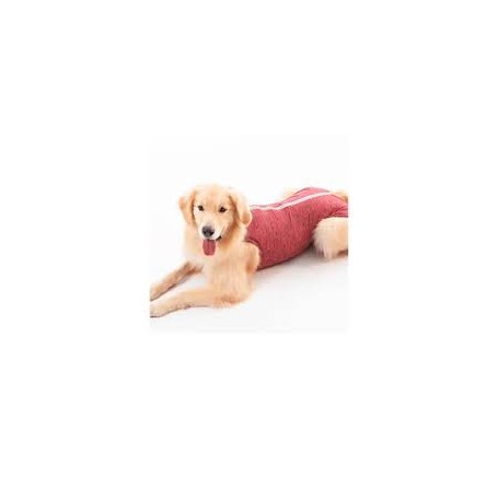 Body Post Operatorio Regular Rojo Talla 5 Pet Med