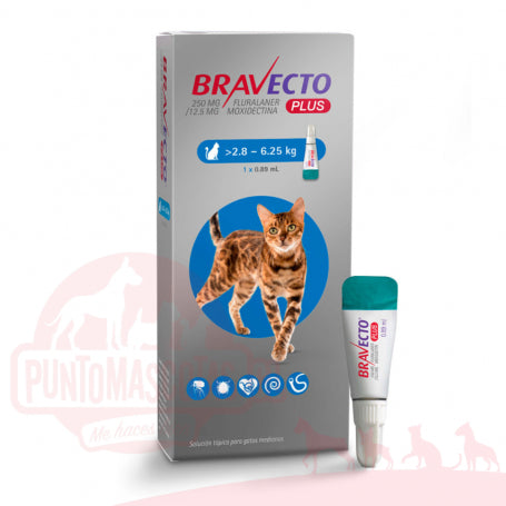 Bravecto Plus 2,8 a 6,25 kg
