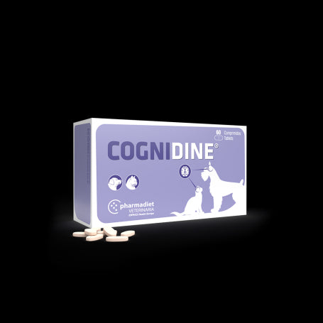 Cognidine 60 tabletas
