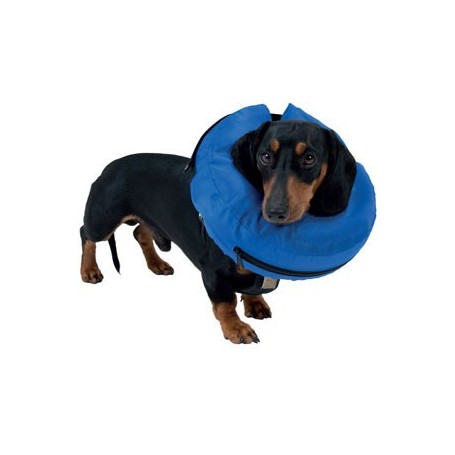 Collar Isabelino Inflable y Lavable Buster talla Small