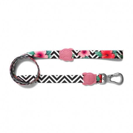 Correa ZeeDog Mahalo Small