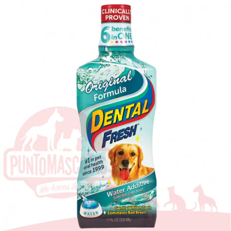 Dental Fresh 503ml
