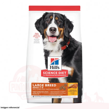 Hills Adulto Large 15 kg