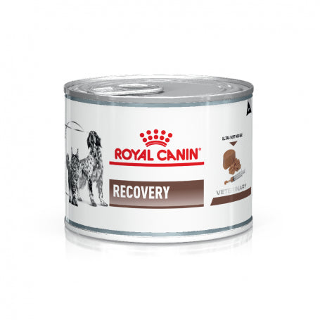 Pack 24 Latas Royal Canin Humedo Recovery RS Canino y Felino