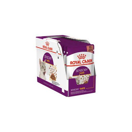 Pack Royal Canin Pouch Sensory Taste 85 grs x 12