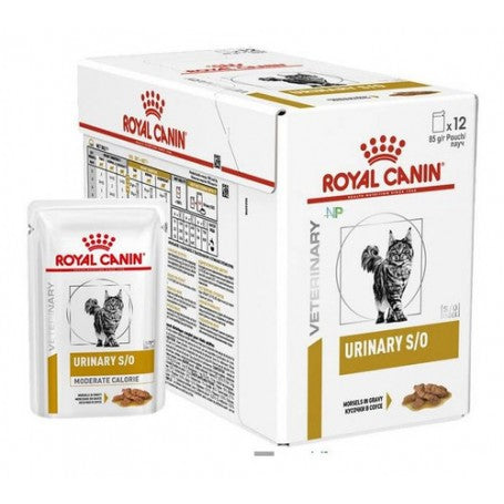 Pack Royal Canin Pouch Urinary S/O Feline 85 grs x 12