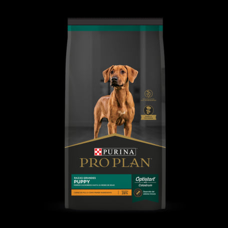 Pro Plan Puppy Large Breed 15 kg KG