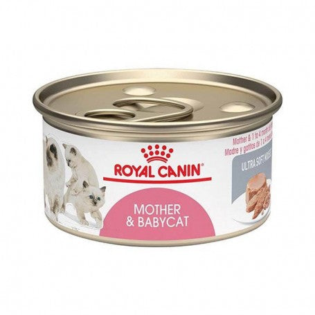 Royal Canin Babycat Instinctive Alimento Humedo 145 grs