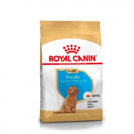 Royal Canin Poodle Cachorro 3Kg