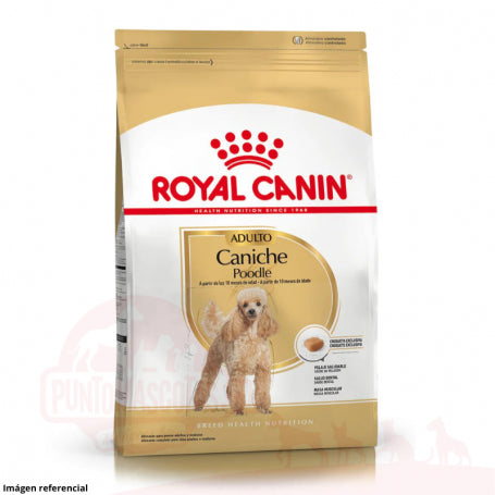 Royal Canin Poodle 3Kg