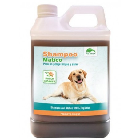Shampoo de Matico Organico All Green 1 Litro