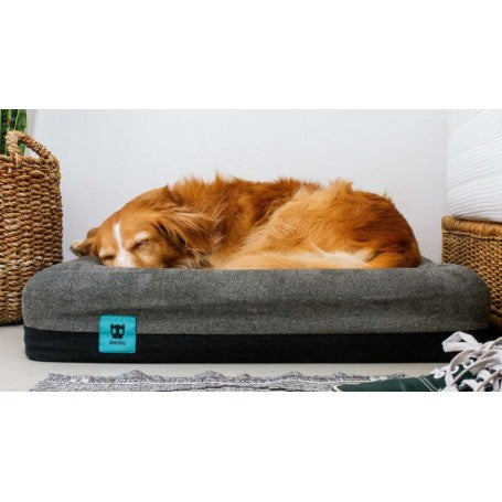 Cama Zeebed Skull Small