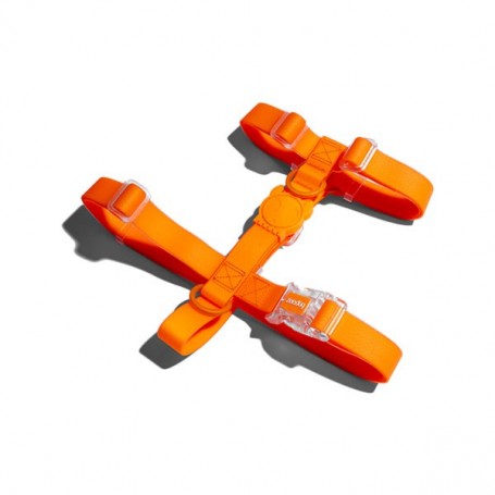 ZeeDog Neopro Tangerine H-Harness Large